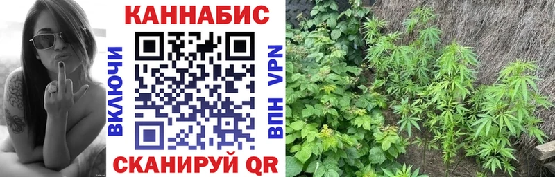 hydra как войти где продают наркотики Калач Шишки марихуана индика